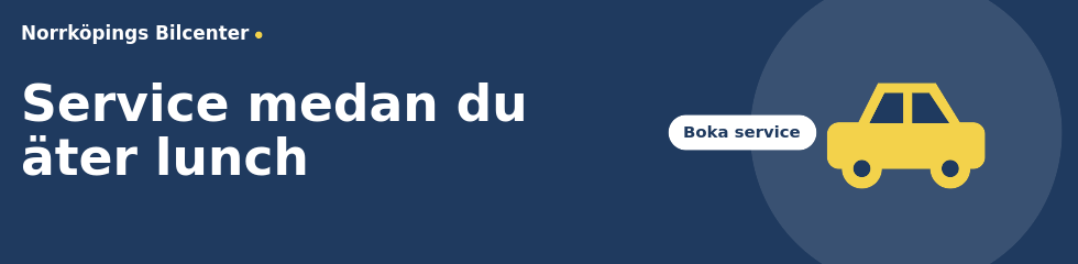 Exempel: panorama 980 × 240