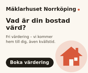 Exempel: rektangel 300 × 250